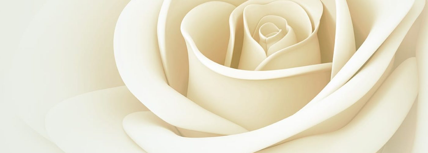 cellules-souches-rose-blanche